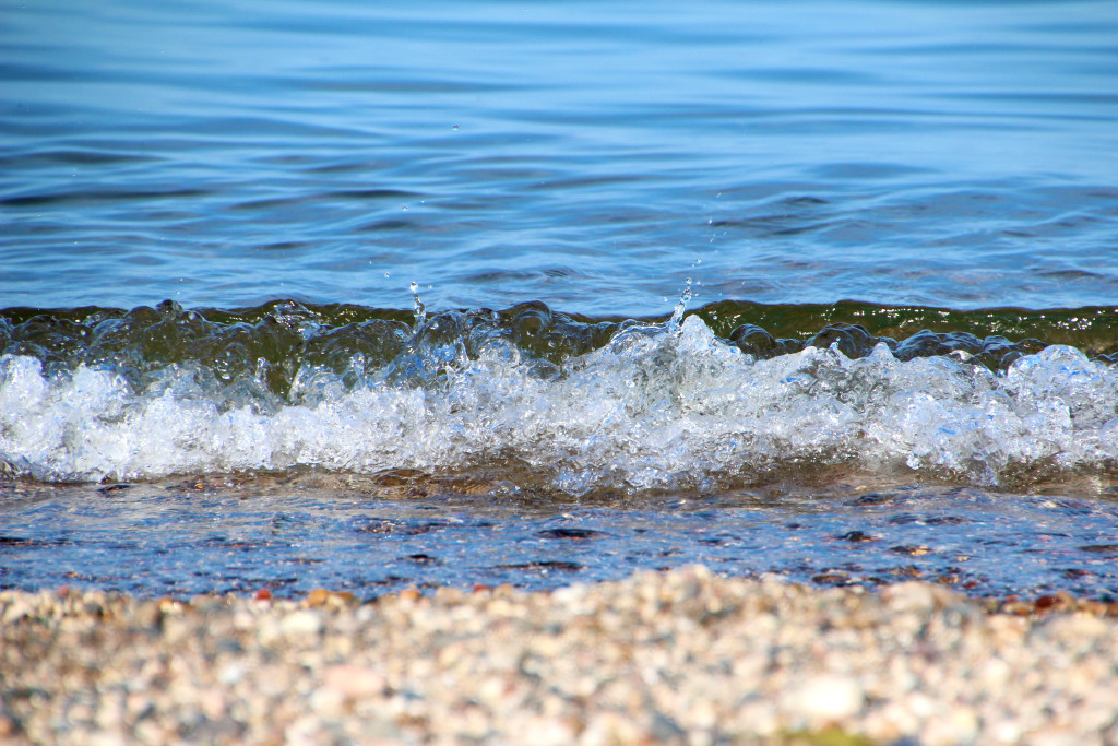 Lake Michigan, Illinois Beach State Park