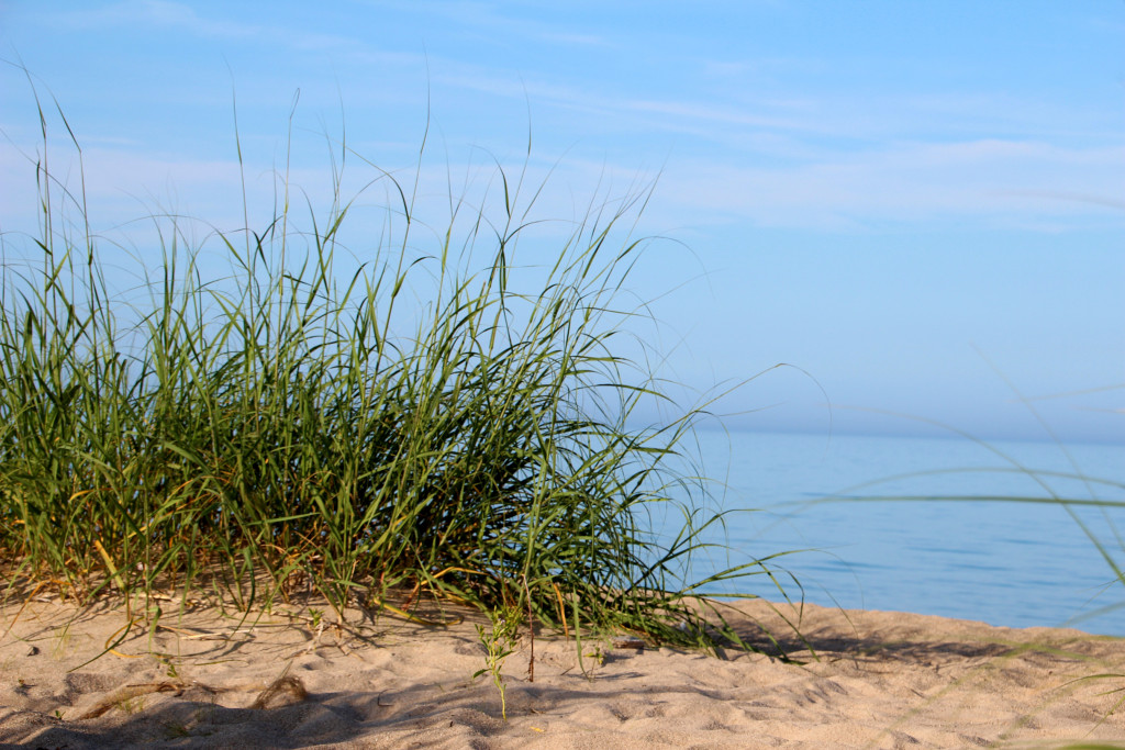 Lake Michigan, Illinois Beach State Park