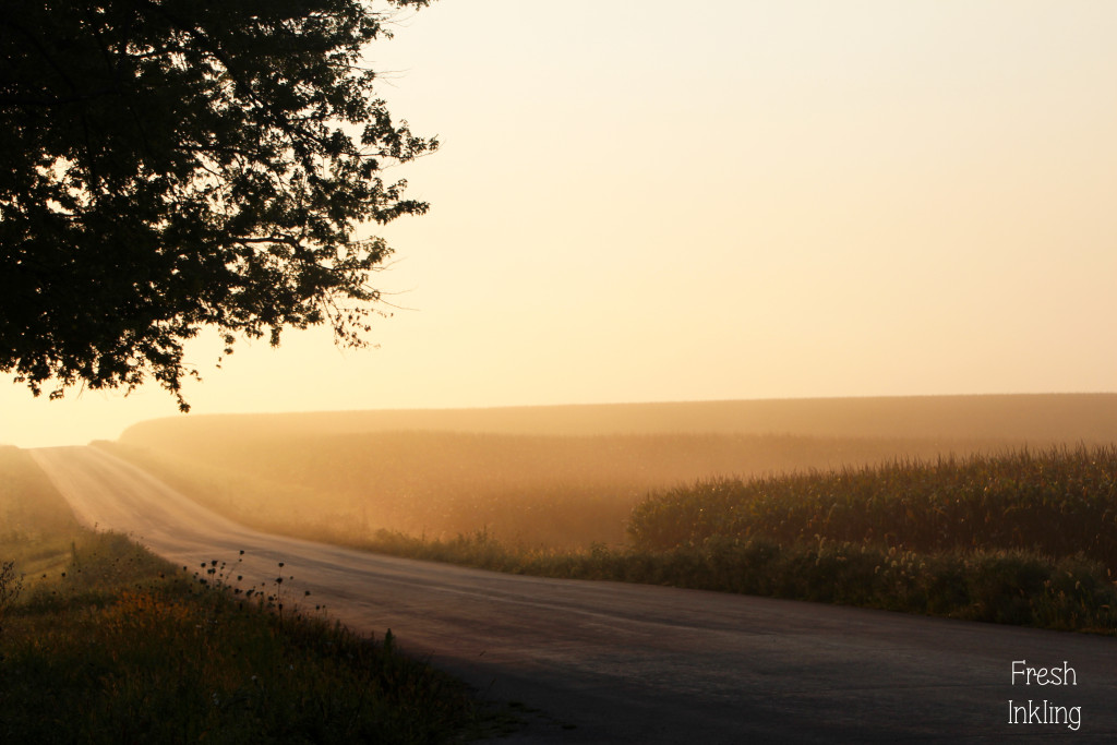 A foggy scene from College Farm Road south of Platteville, Grant County, Wis.