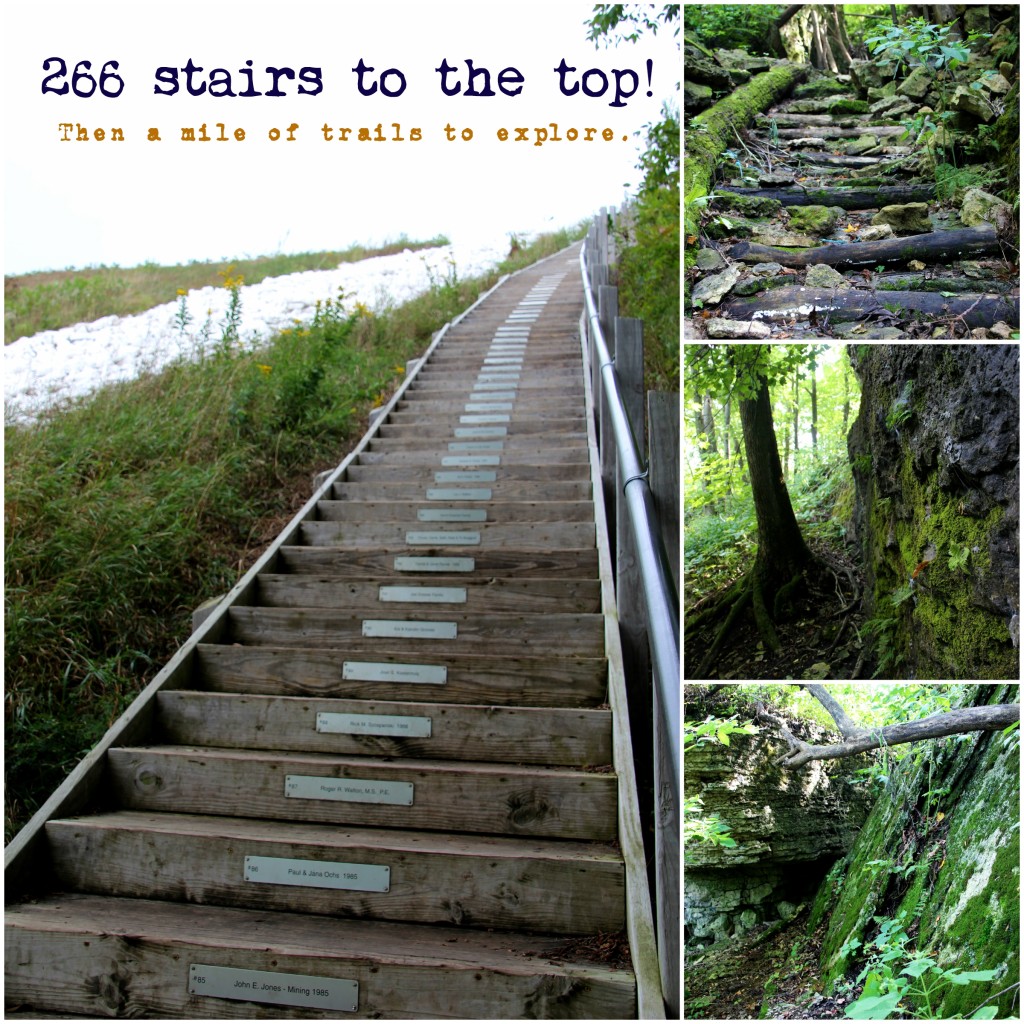 Don't let the 266 stairs scare you from climbing to the top. The view is worth it.