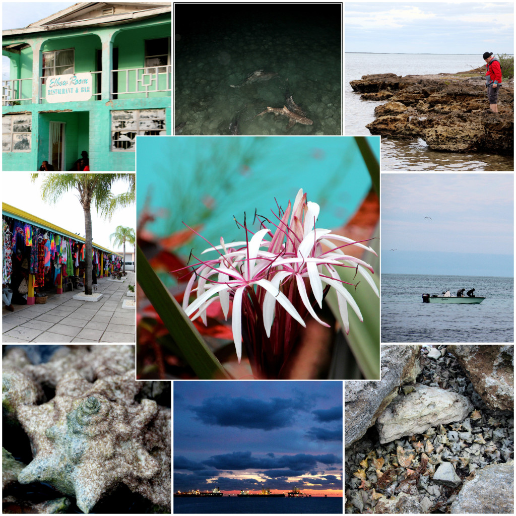 Scenes from the west side of Grand Bahama Island.